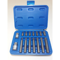Juego puntas tipo ribe 5 a 12 bit 10mm bremen (5446)